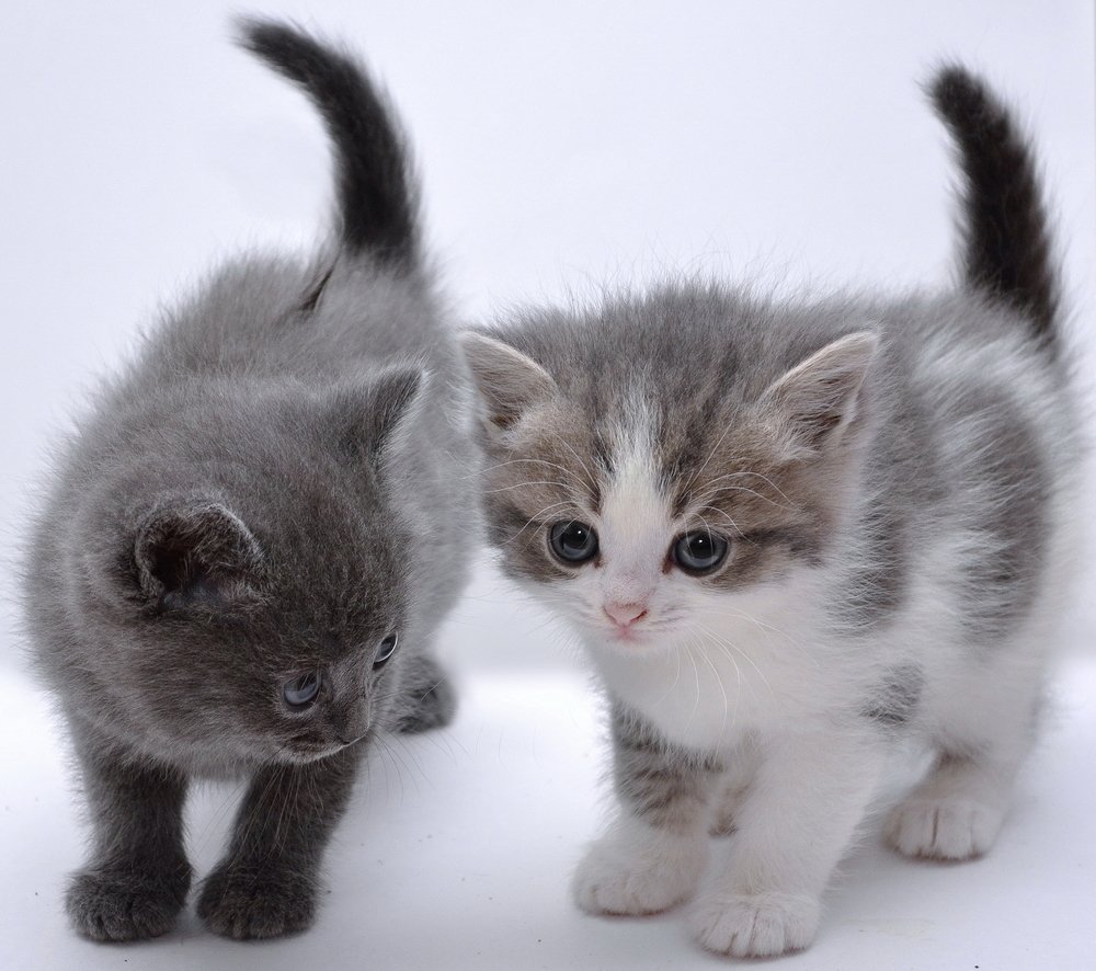 Брат с сестрёнкой