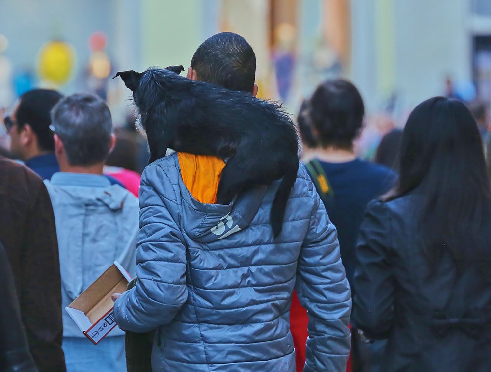 Спасибо, что подбросил