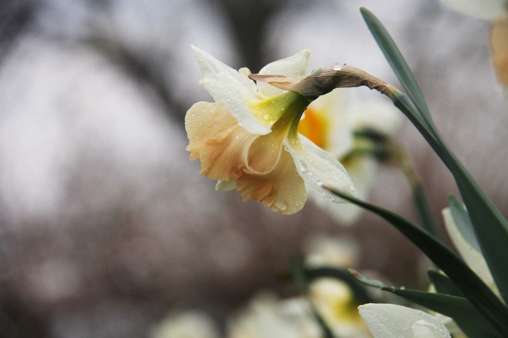 После дождя