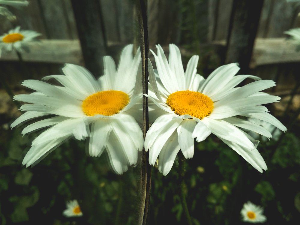 Photograph by Вадим Довбиш