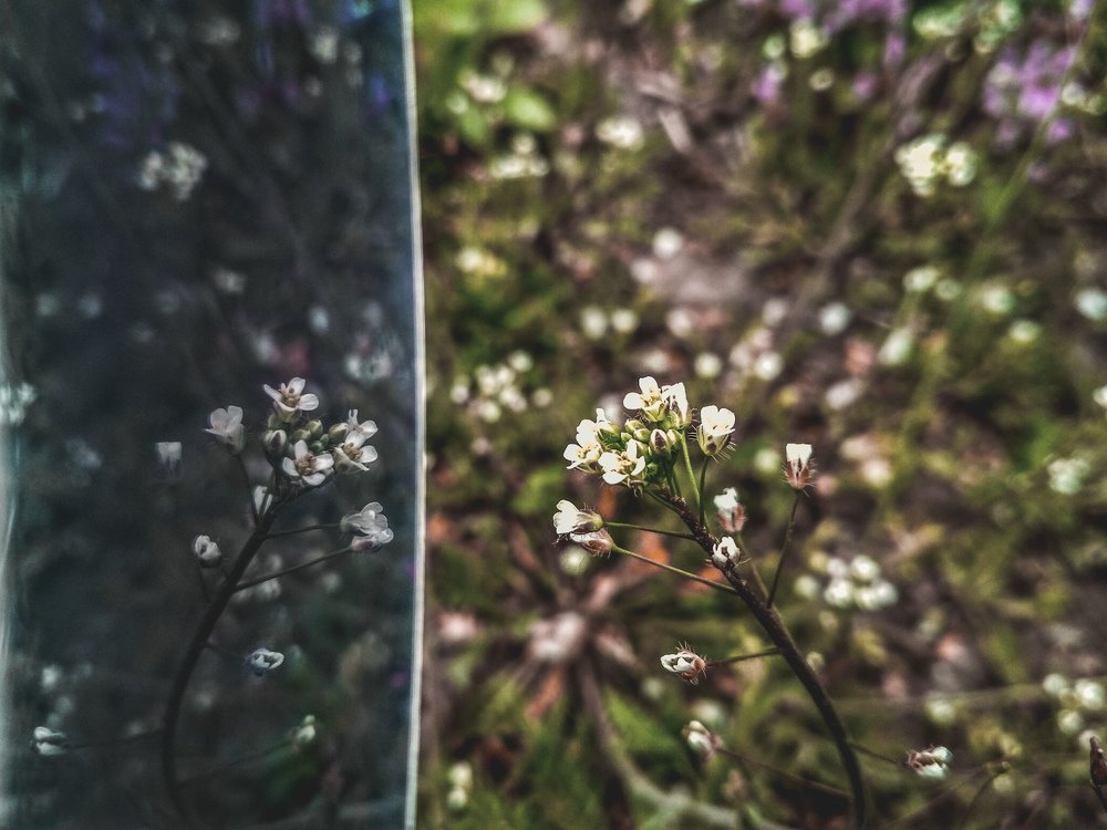 Photograph by Вадим Довбиш