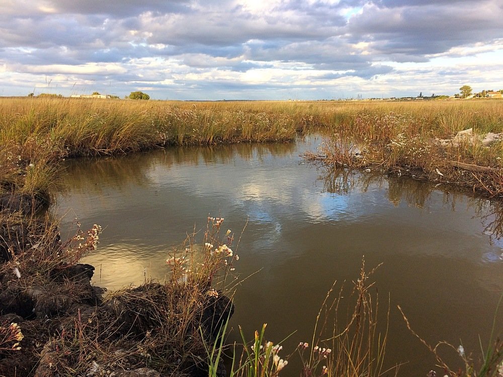 Обманчивый пейзаж...