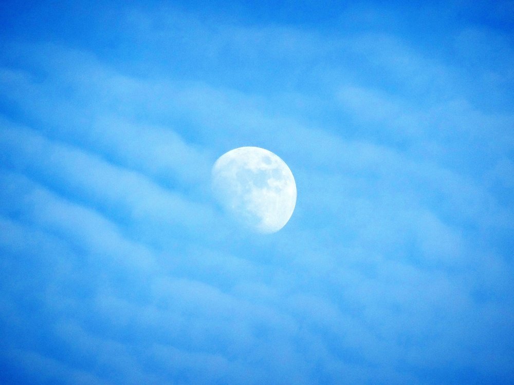 Photograph by Марина Раткун