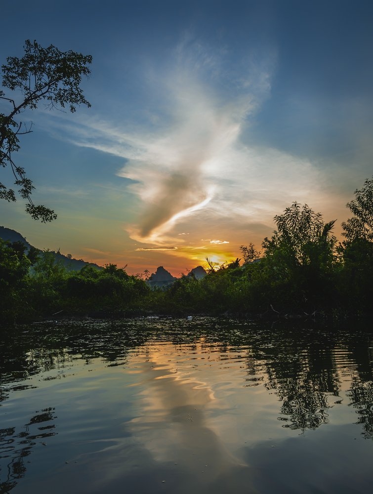 White Bird in the Morning