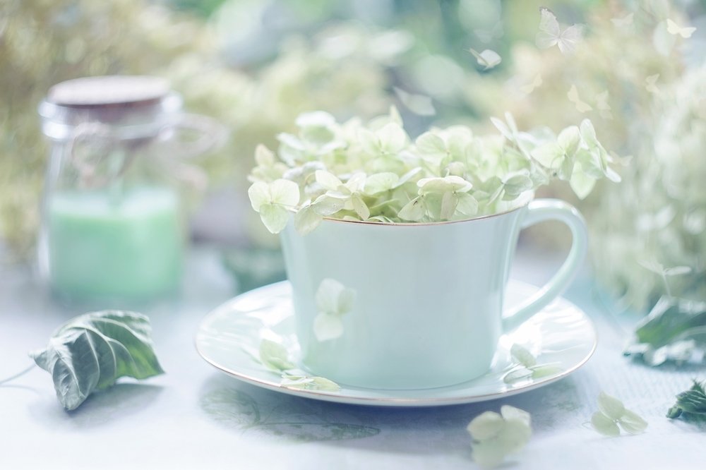 Осенняя прелюдия