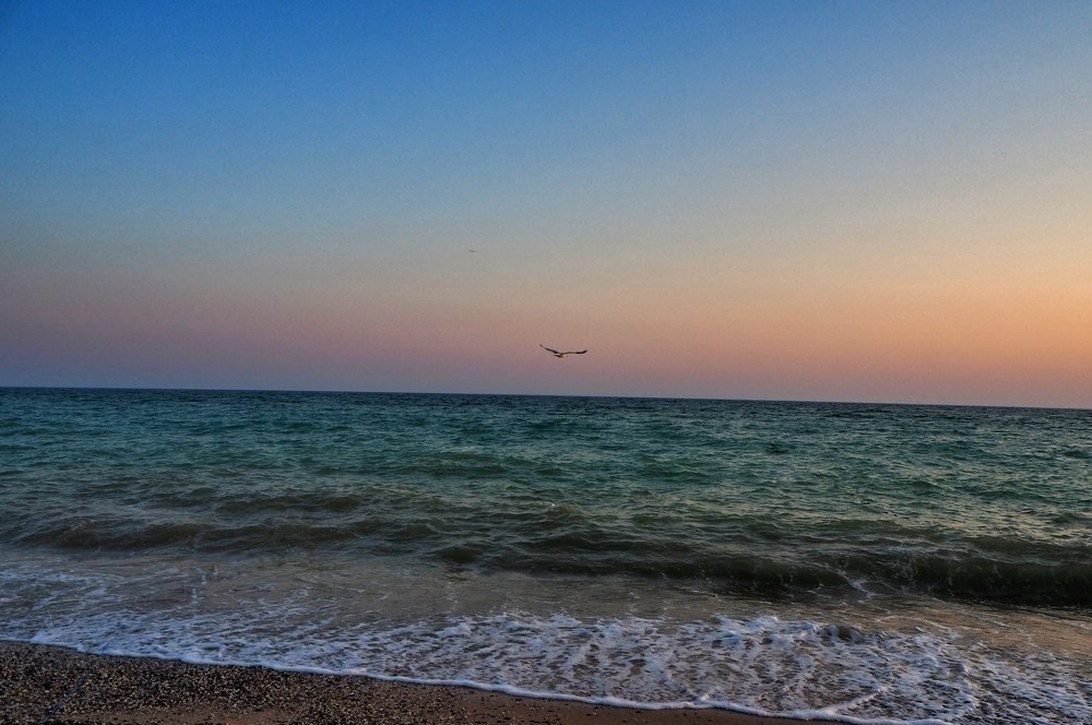 Photograph by Ирина