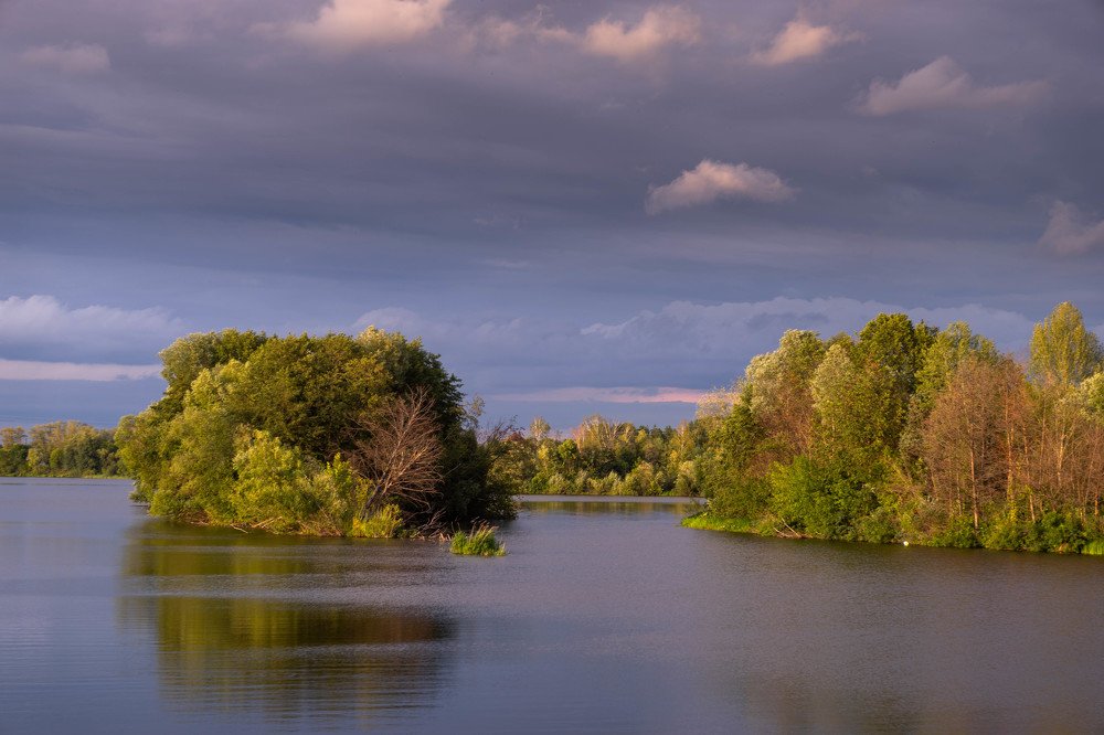 после дождя