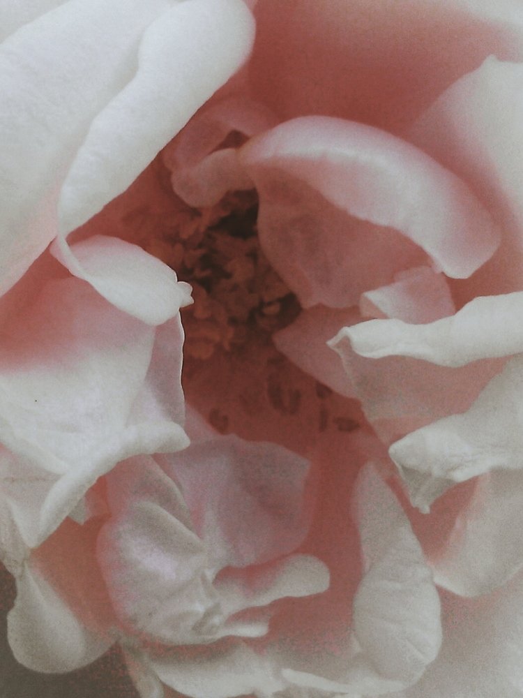 Photograph by Юлия Ревкова
