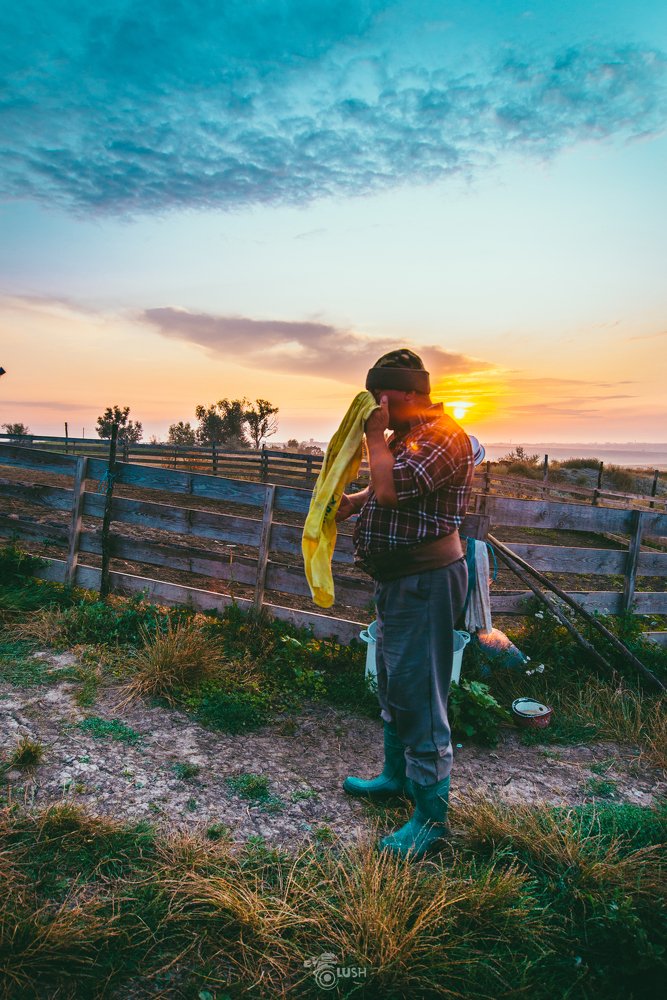 shephard in the sunrise light