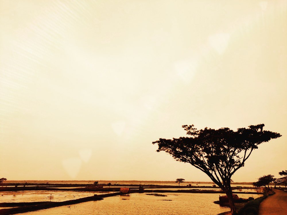 The beouty of sunset