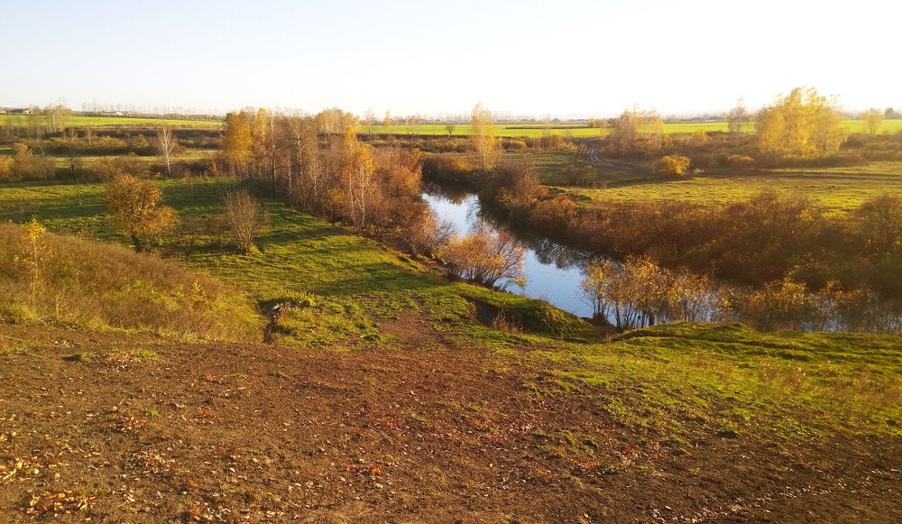 осень в поле