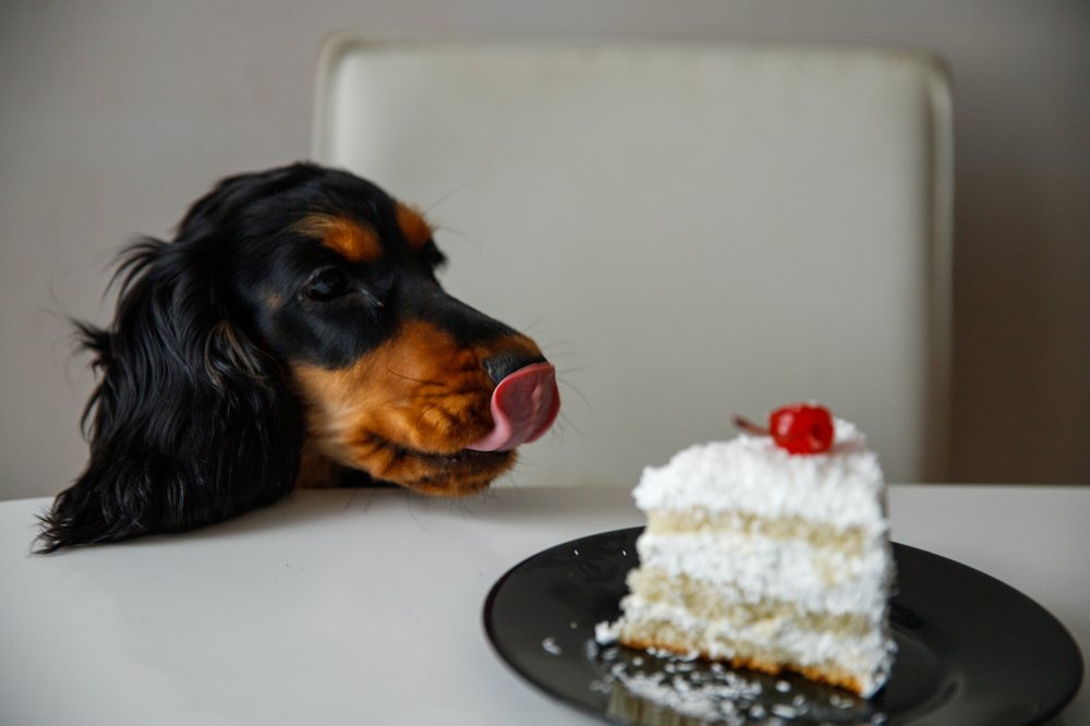 Фотография автора Гудкова Светлана