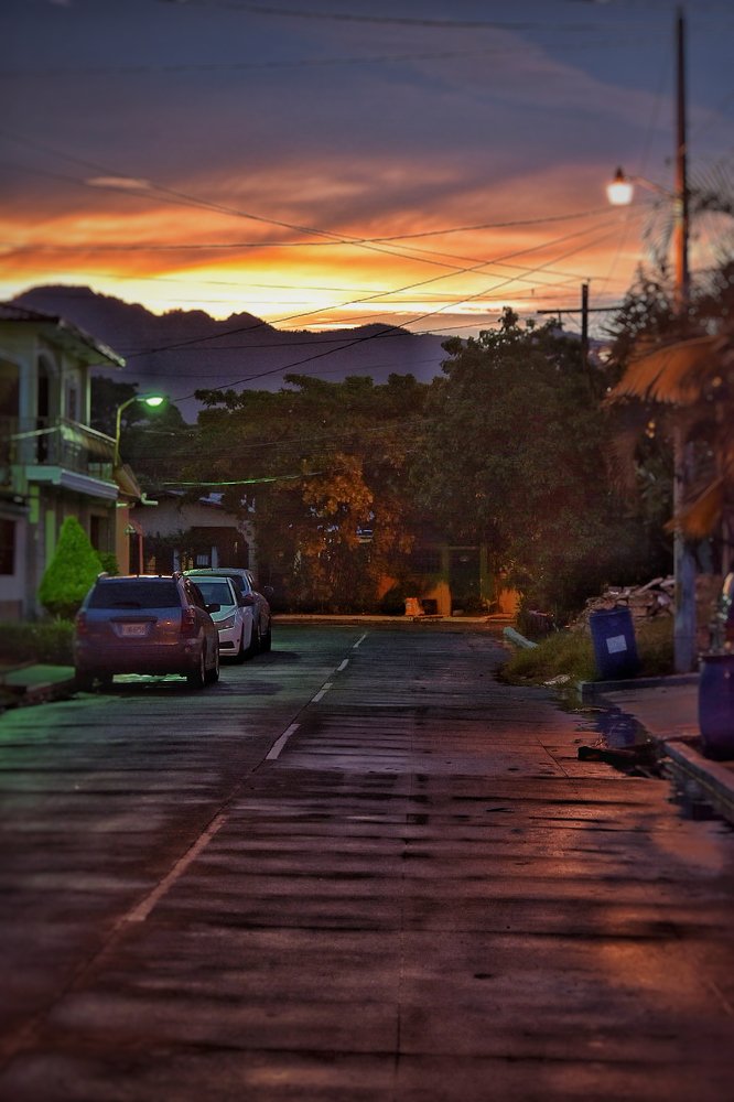 Tarde de color
