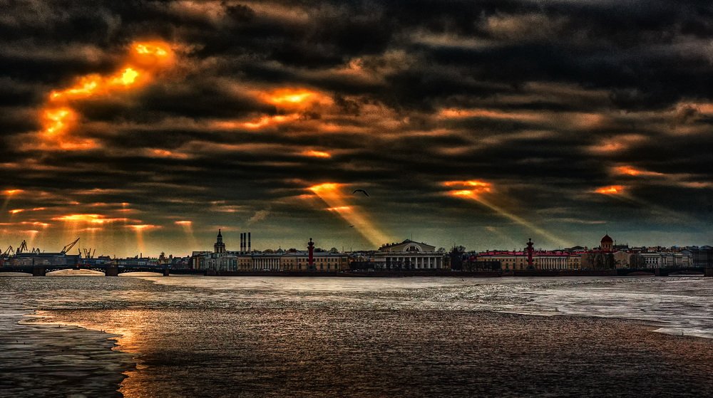 Стрелка ВО СПб