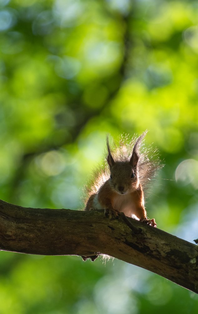 Ты меня на рассвете проводишь...