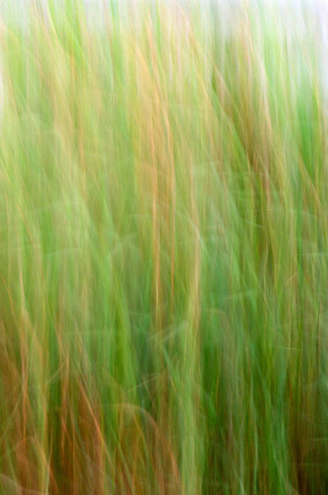 Wind
