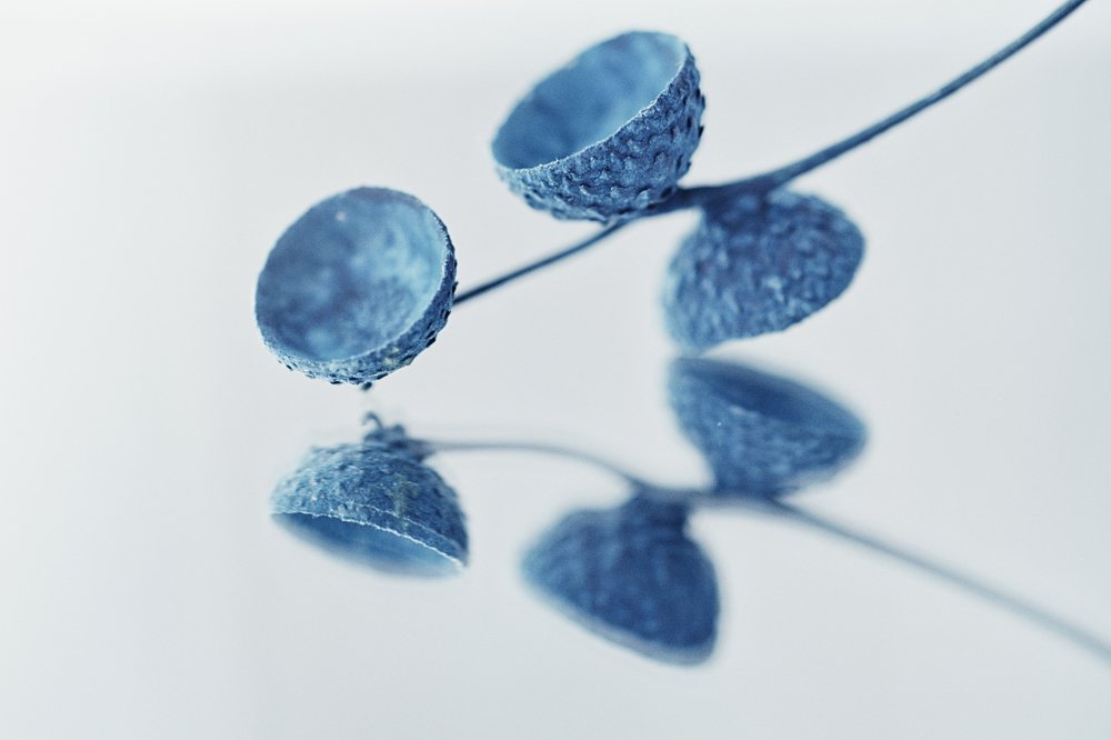 Photograph by Виктория Мейо