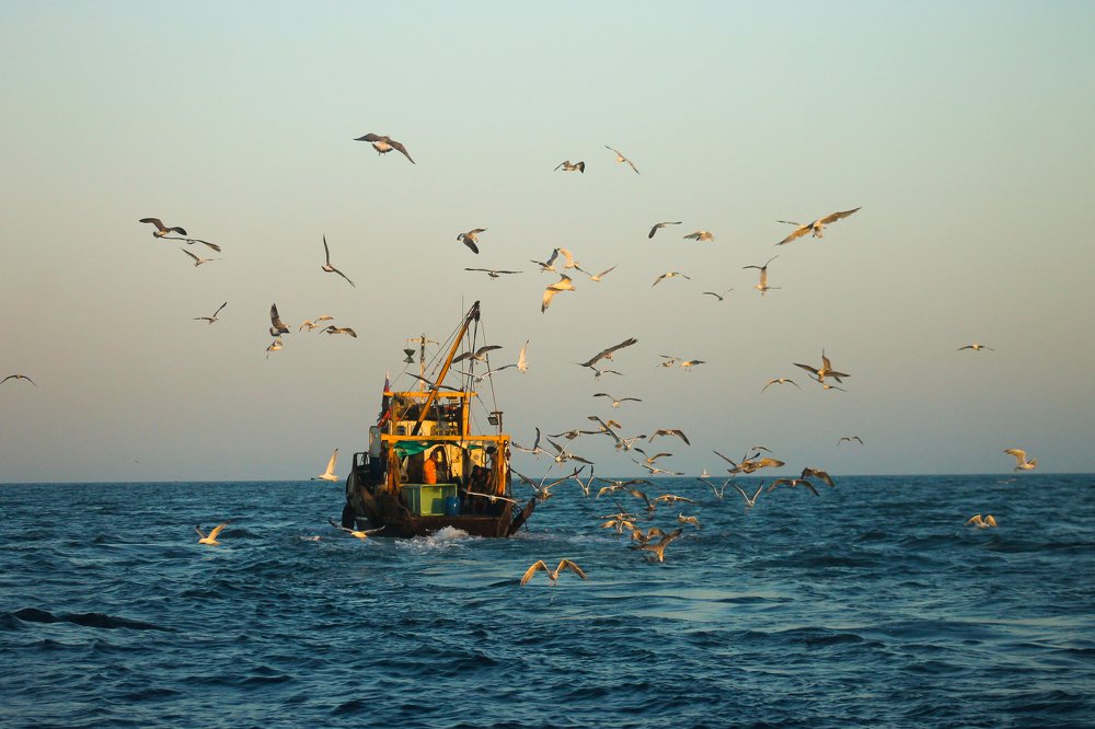 Photograph by Ирина Ягудина