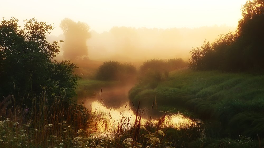 Красивое утро