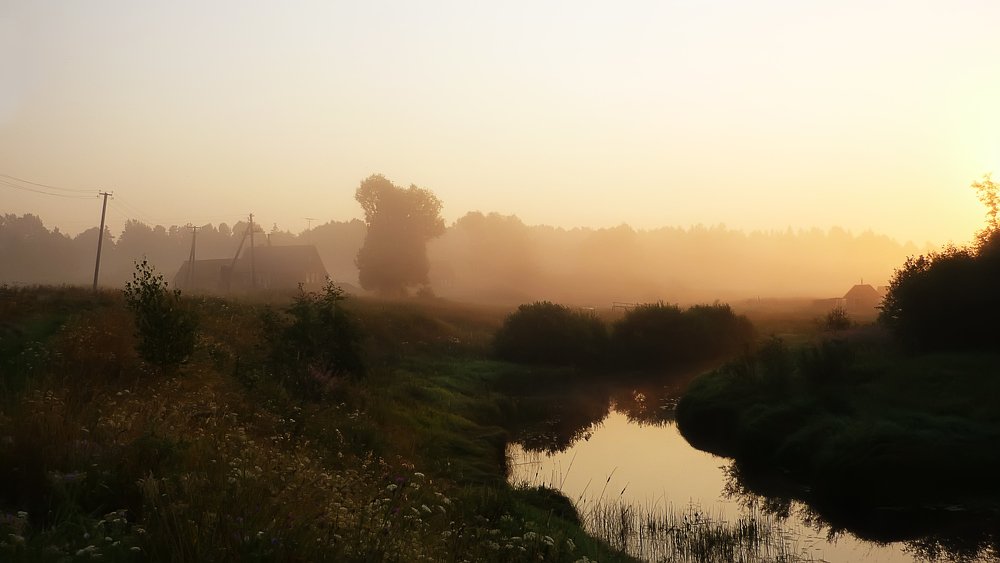 Красивое утро