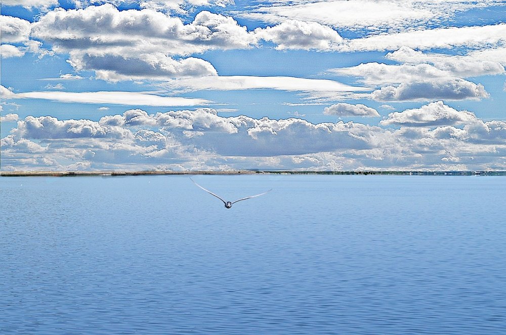 Dunav u Nacionalnom parku Đerdap