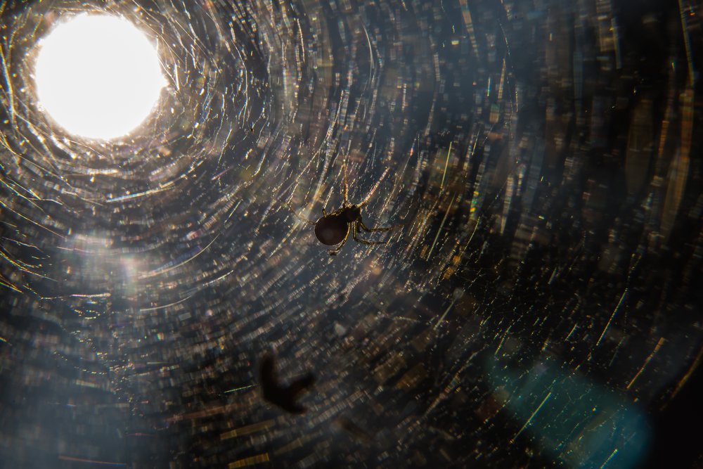 Фотография автора Сергей Миронов