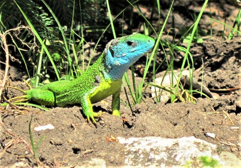 Photograph by Valeria Drozdova