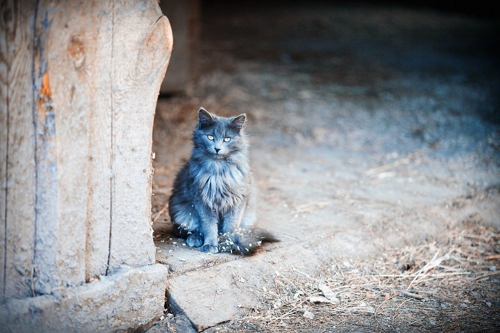 Photograph by Городничева Елена