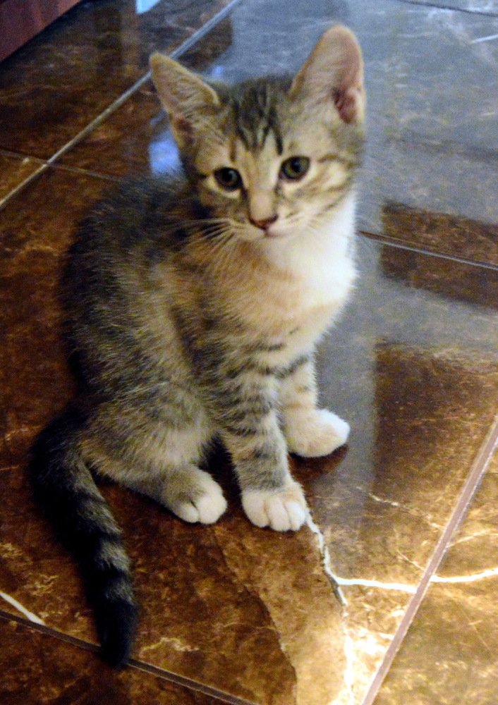 Я самая красивая