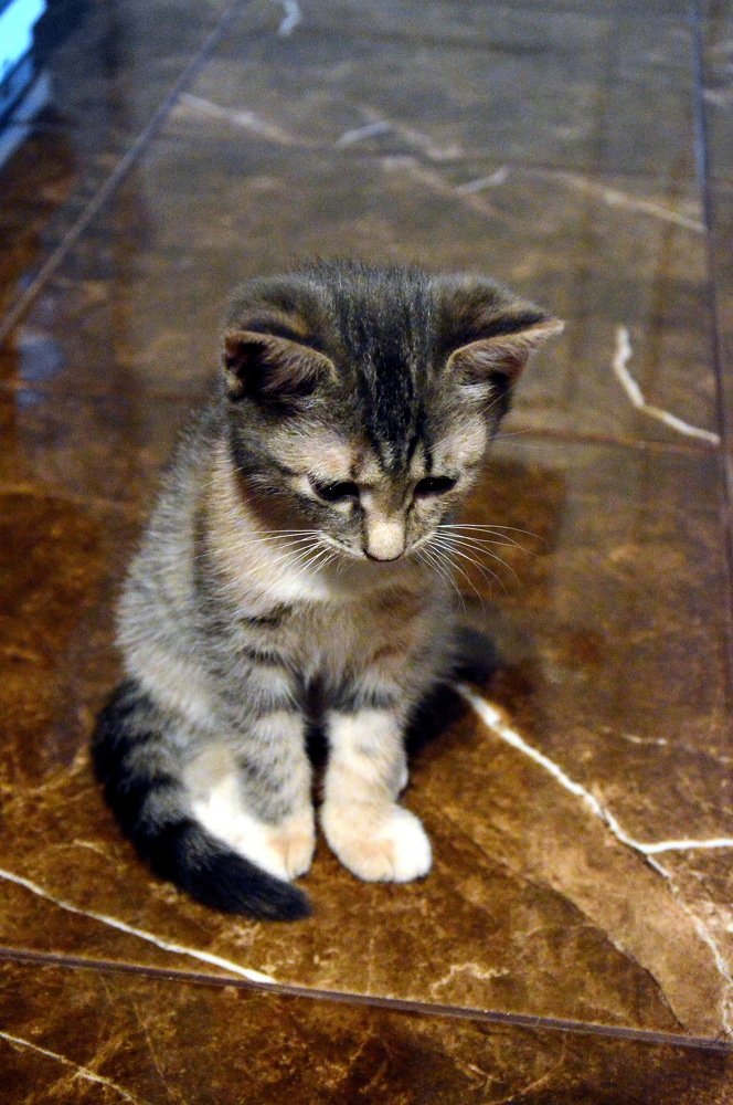 Я думаю, не мешать...