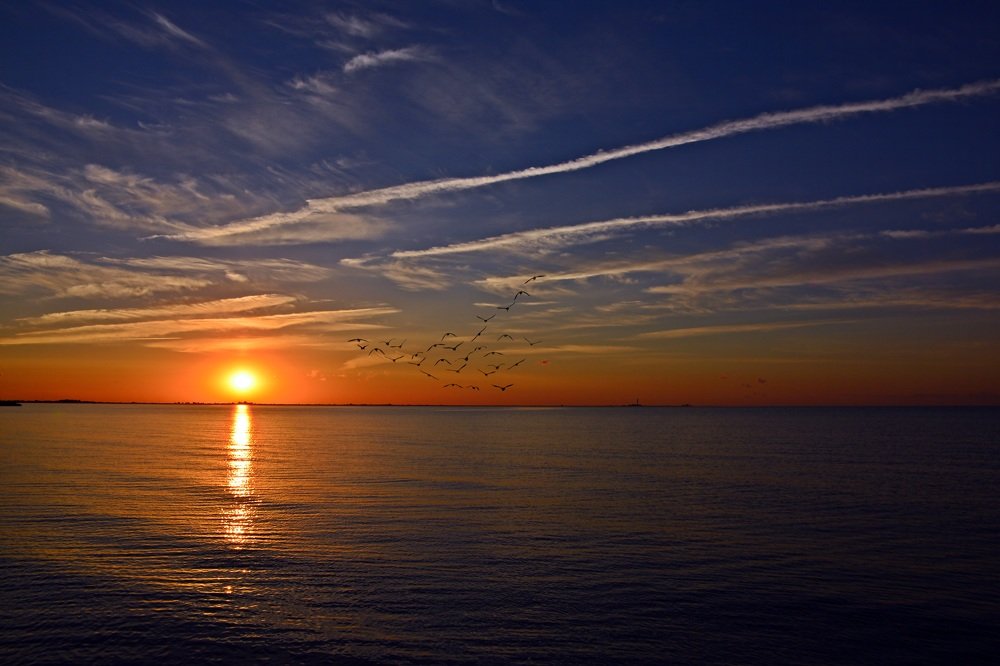 Photograph by Bocse Angela - Codrina