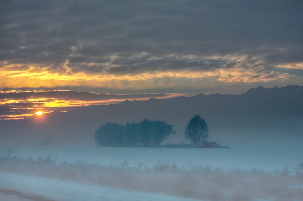 Зимнее утро