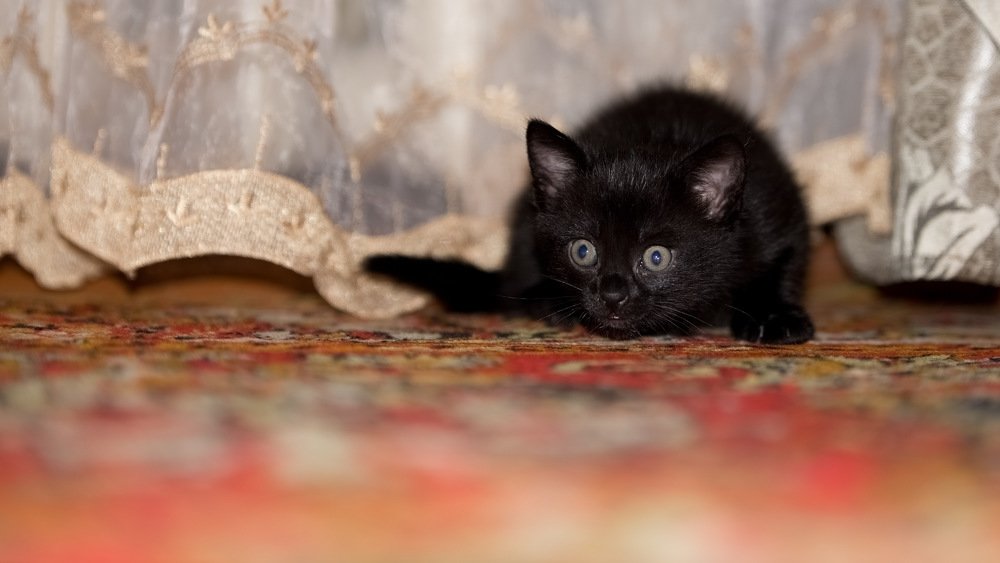 Photograph by slavka