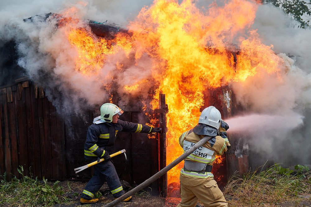 Укротители Драконов