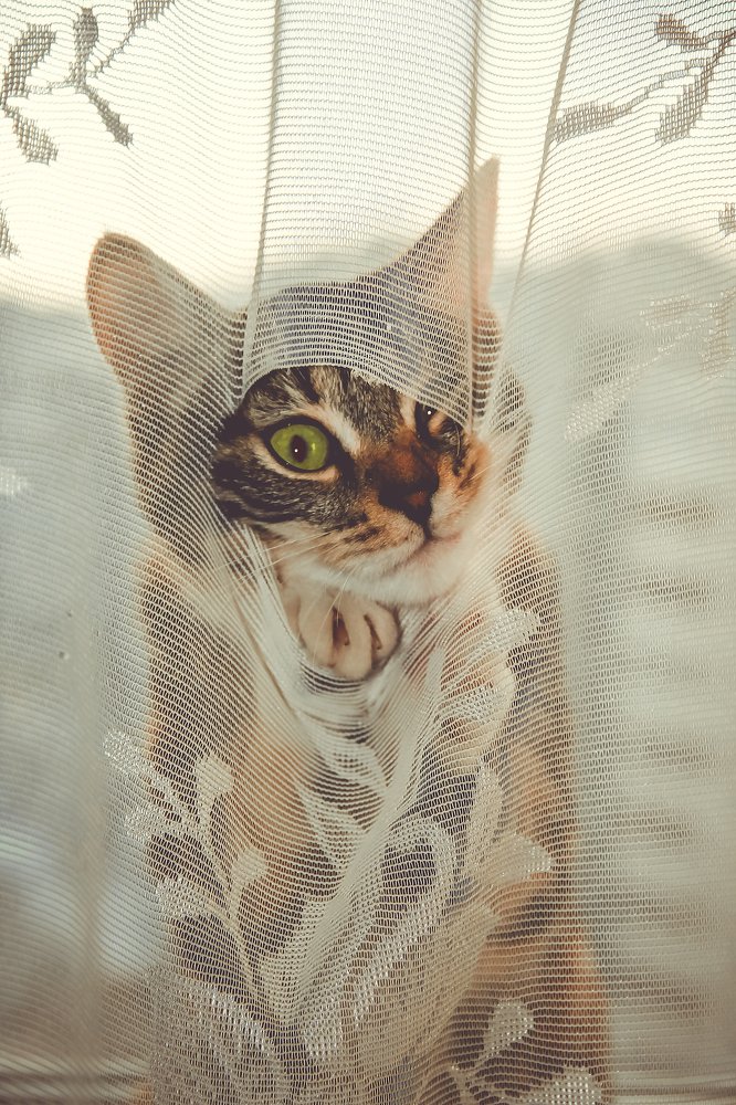 Photograph by Ирина Ягудина