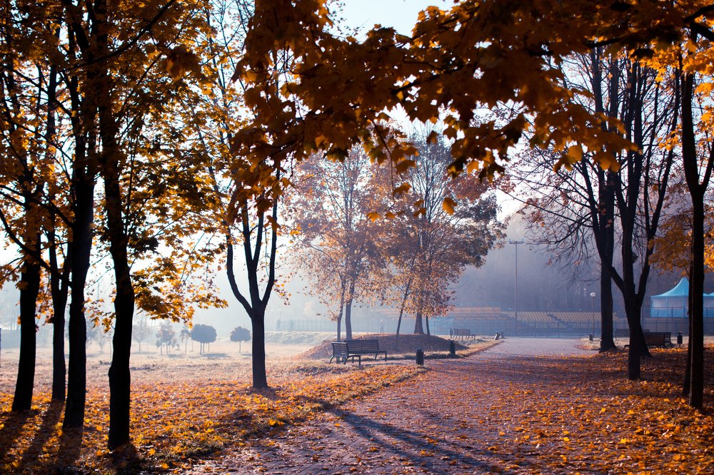 Осеннее утро