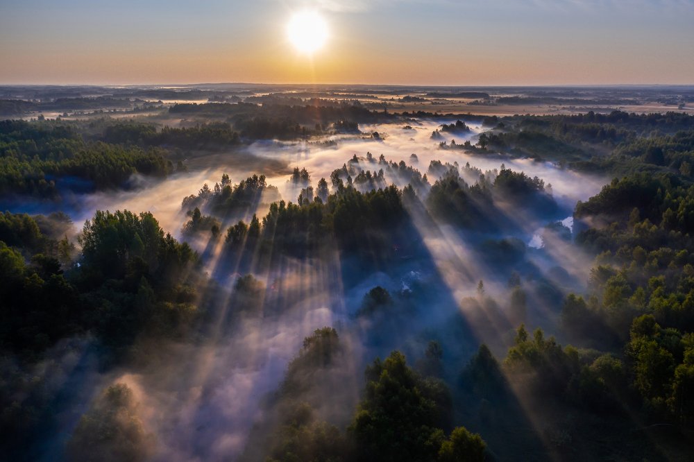 Утренний туман