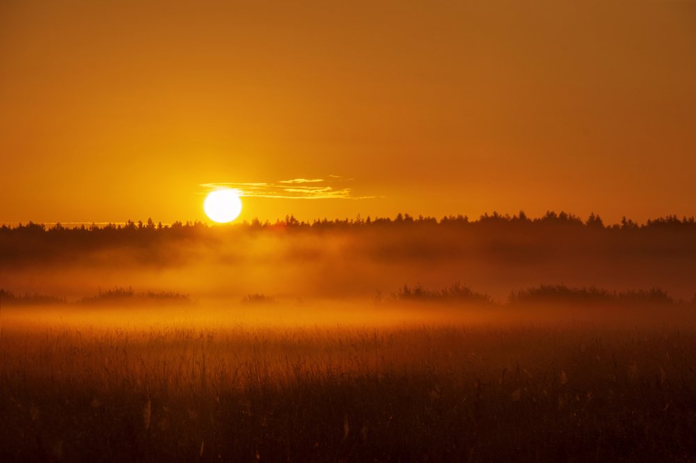 дорога в питер