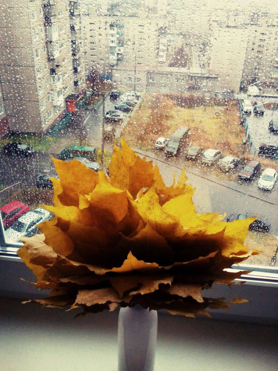 Скоро зима...