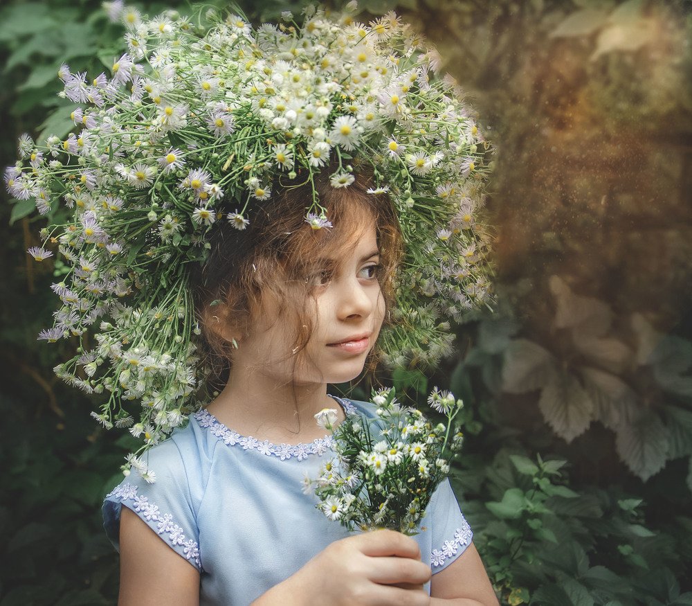 Мечты в лесу