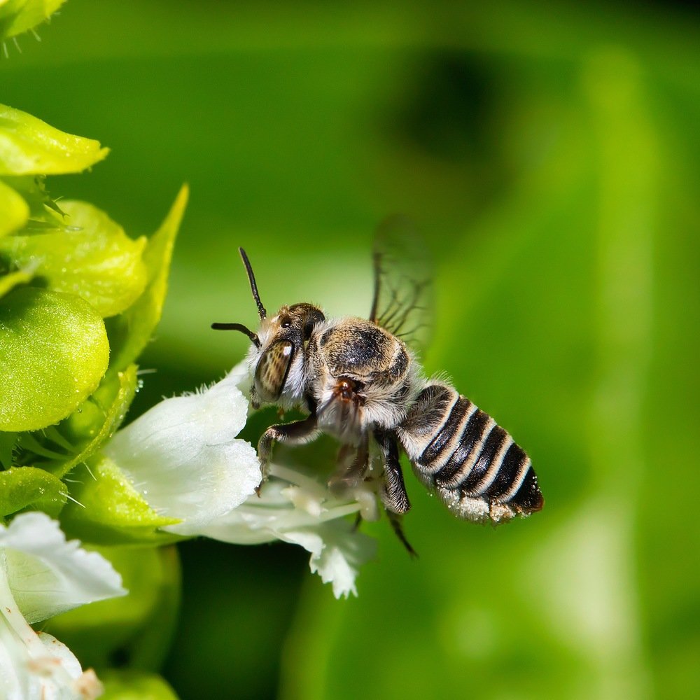 Фотография автора Dolli Pogrebnaya