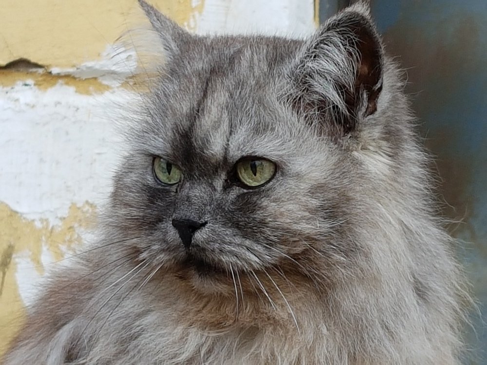 Недоверие к людям.