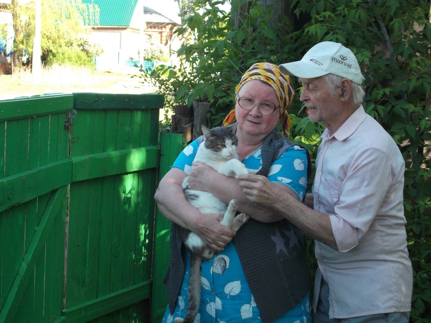 Наш любимый котик Гоша
