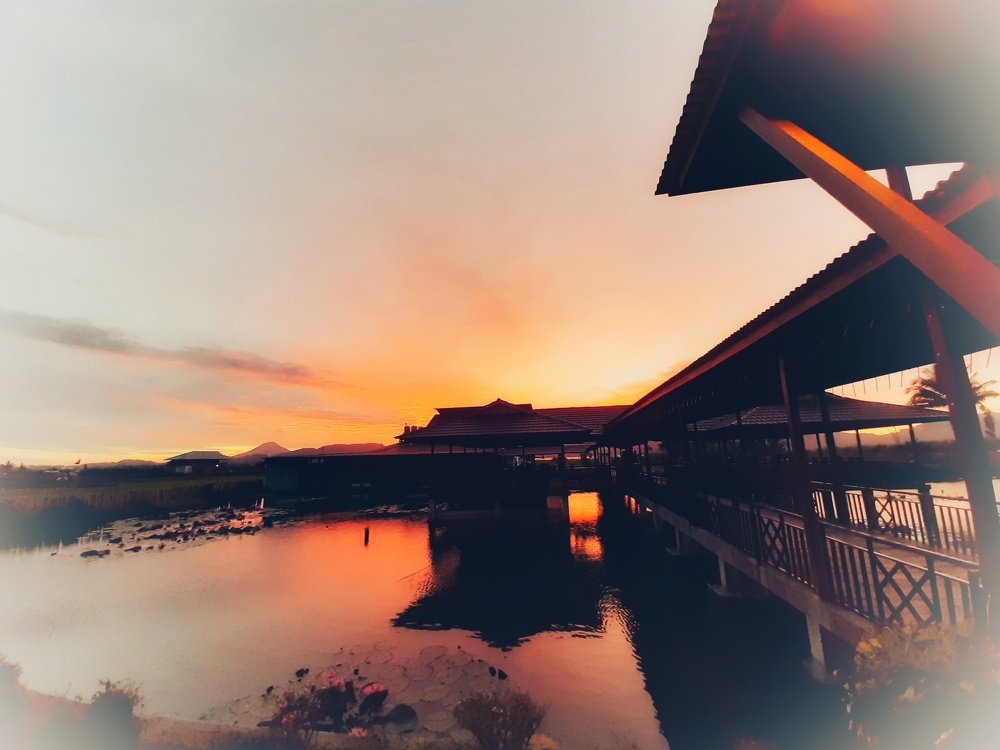 The sun escape