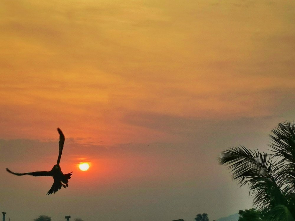 Photograph by Udit Abhijit
