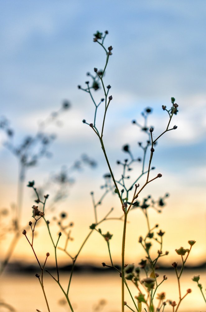 Photograph by Samrick Manna