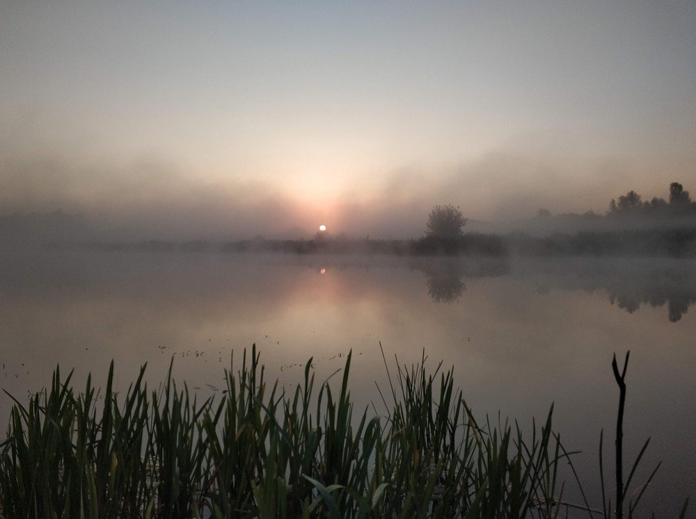 Photo #3458342