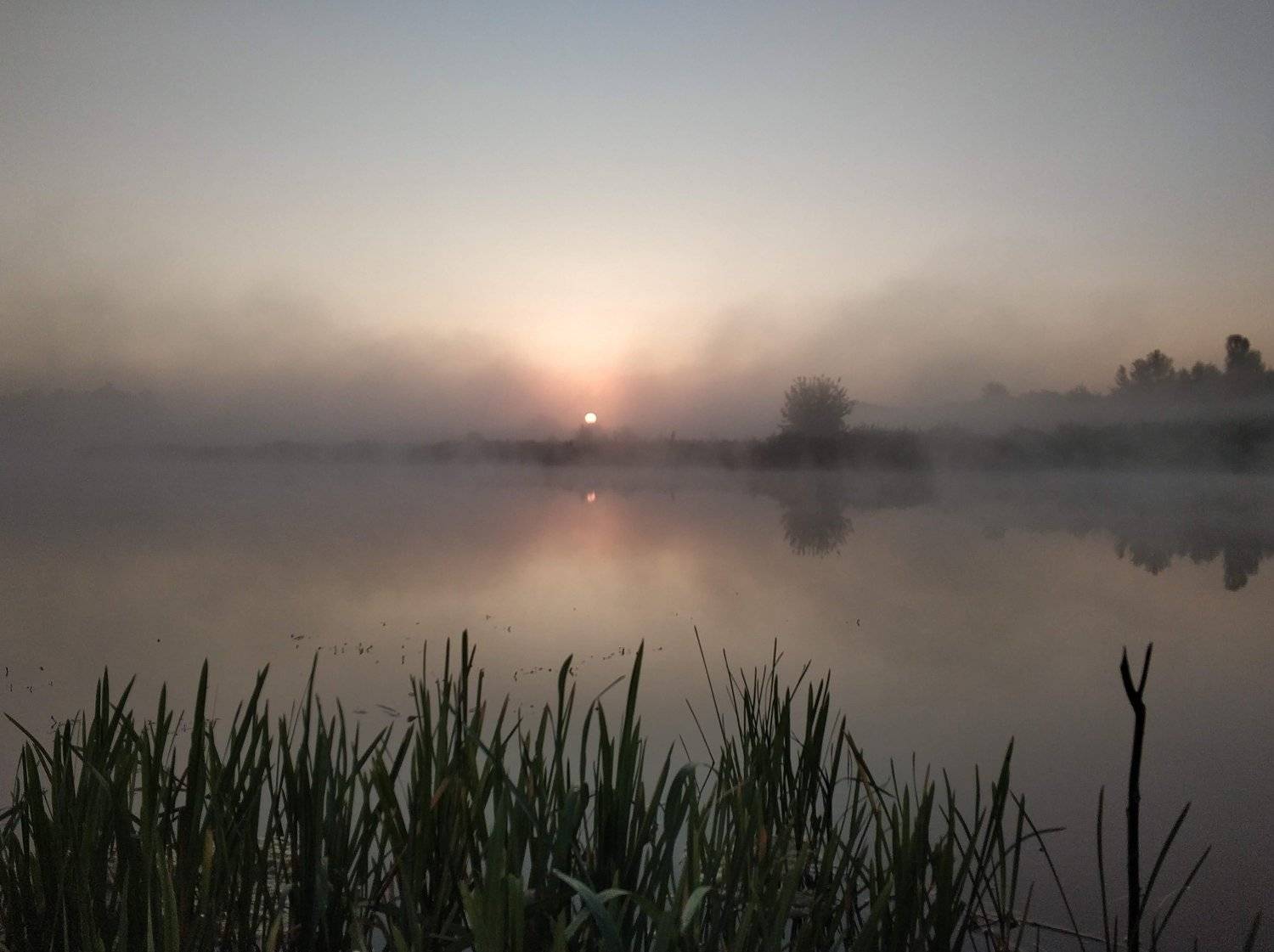 Photo #3458342