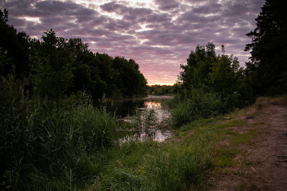Рассвет на реке