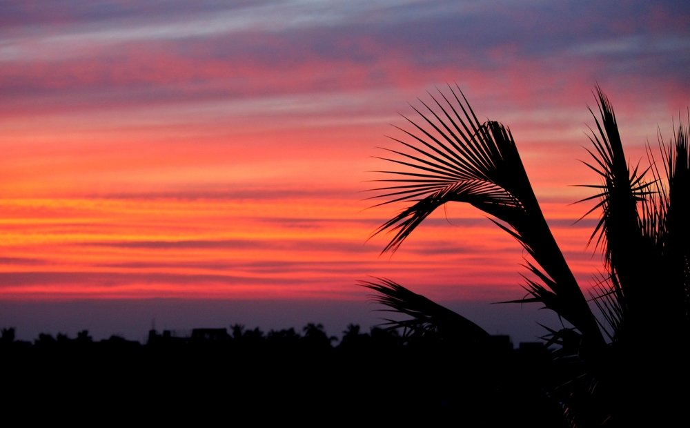 Sunset